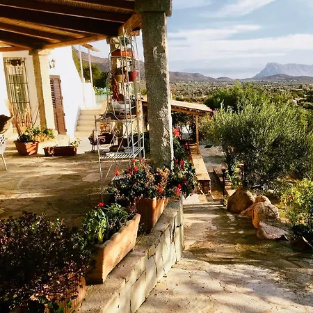 Flores Appartement