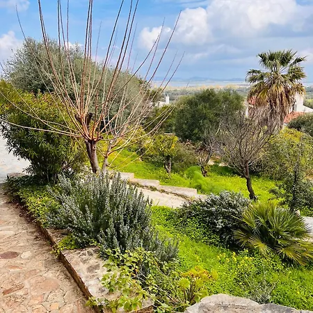 Flores Appartement