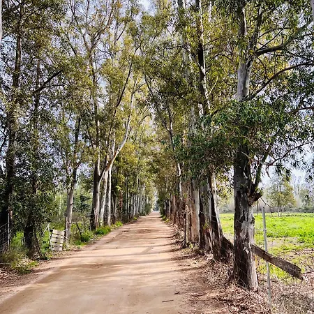 Appartement Flores