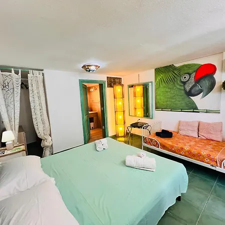 Flores Appartement *